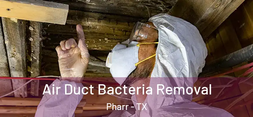  Air Duct Bacteria Removal Pharr - TX