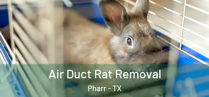  Air Duct Rat Removal Pharr - TX