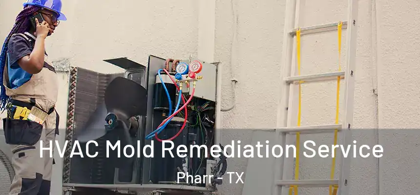 HVAC Mold Remediation Service Pharr - TX