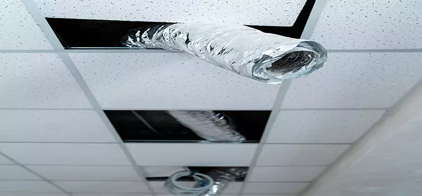 Affordable HVAC Sanitizing After Pest Removal in Pharr