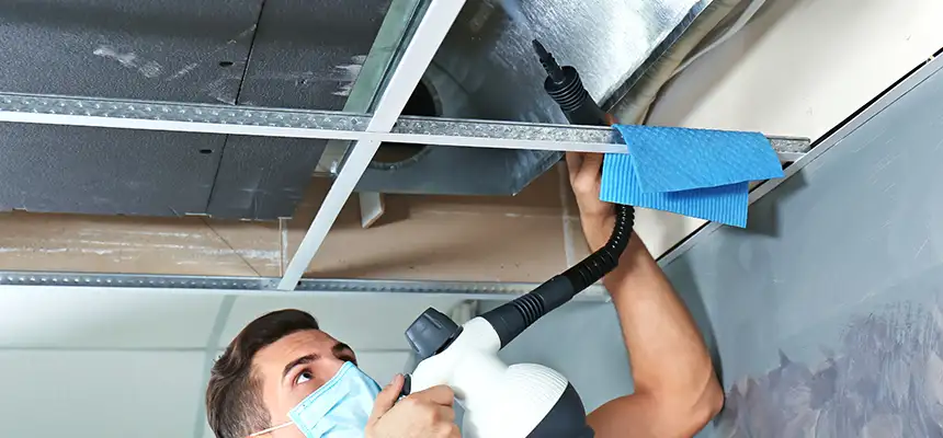 Our Air Duct Rodent Removal Services in Pharr, TX