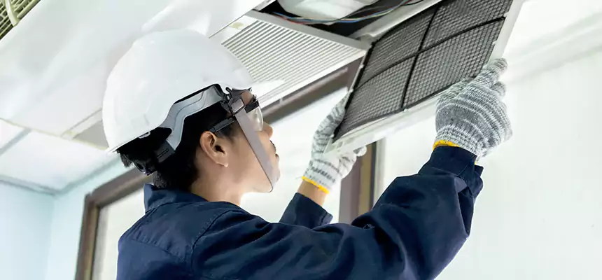 Our Mold & Mildew Removal from Air Ducts Services in Pharr, TX