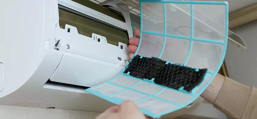 Gentle Ductwork Odor-Control Pet Dander Duct Cleaning in Pharr, TX