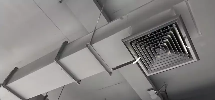 Our Rodent Droppings In Vents Services in Pharr, TX