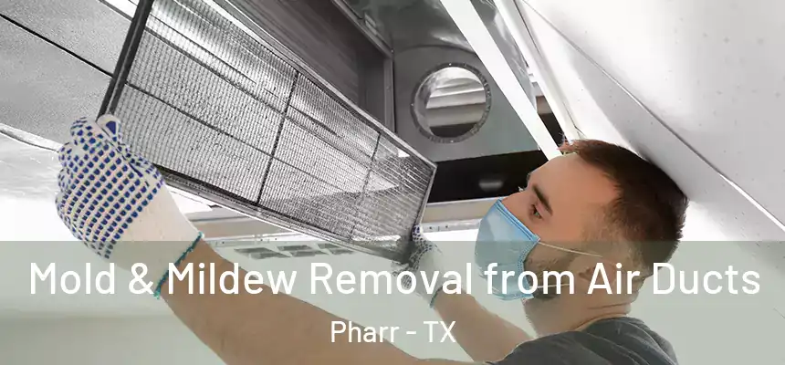 Mold & Mildew Removal from Air Ducts Pharr - TX