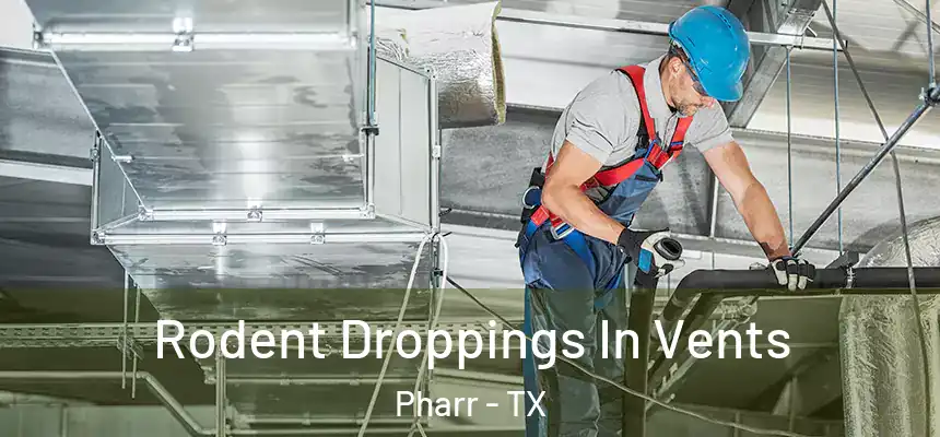  Rodent Droppings In Vents Pharr - TX