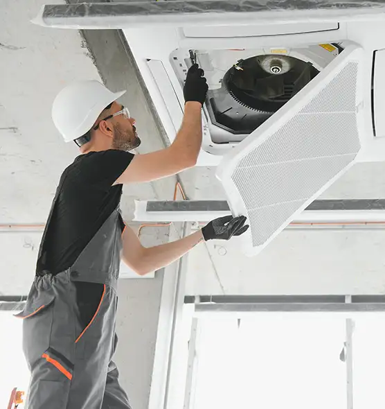 About Air Duct Rodent Removal in Pharr, TX