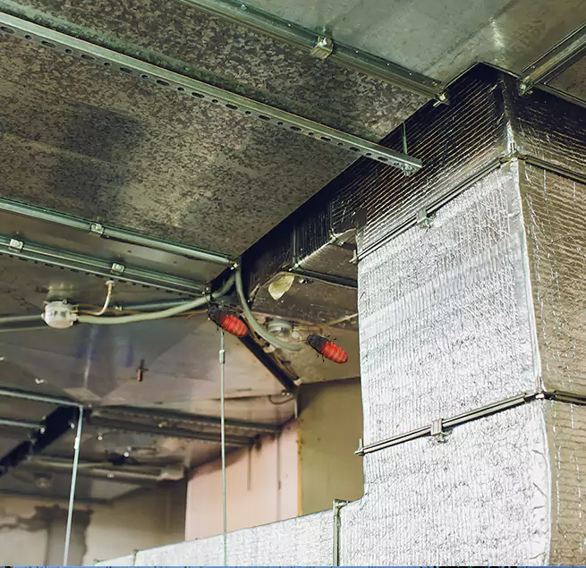 Why Homeowners & Businesses Trust Us in Pharr, TX?