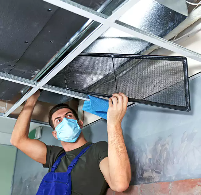 Why Homeowners Businesses Trust Us in Pharr, TX