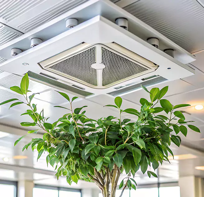 Why Homeowners & Businesses Trust Us in Pharr, TX